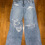 American Eagle  Strigid Baggy Wide Leg Jean Photo 0