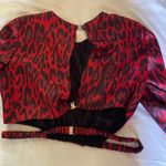 ZARA Cheetah Print Top Photo 3