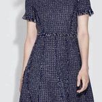 Eliza J  Navy Tweed Fit and Flare Dress Photo 0