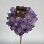 Vintage Hypo Photo 2