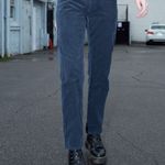 Brandy Melville Navy Blue Corduroy Pants   Photo 0