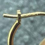 Jacmel JCM 10K Bolivia Yellow Gold Hoop Earrings With Enamel Ladybug - Cute Gift Photo 2