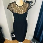 Maggy London Black Stretch Crepe Gold Lace Illusion Dress, Black, Size 8, NWT Photo 11