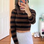 ZARA brown and black striped crop top Photo 0