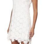 Amanda Uprichard Crotchet Floral Lace Dress Photo 1