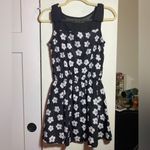 Black & White Daisy Dress with Bows Small EUC Photo 4