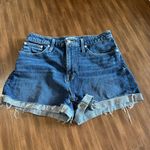 Madewell  Curvy High-Rise Denim Shorts in Canterdale Wash size 32 AJ244 Photo 5