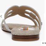 Sam Edelman Bay Metallic Silver Slide Sandals size 8M NWT Photo 3