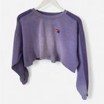 Aviator Nation  Classic Stripe Cropped Crew Sweatshirt Relaxed in Faded Grape Photo 1