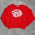 J.Crew Cozy Season Graphic Sweatshirt Red Raglan Sleeve Women's Size S Photo 3