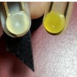 Victoria's Secret Victoria’s Secret Garter Belt XS/S Black Lace Floral Boudoir Lingerie NWT Sexy Photo 12