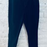 Diane Gilman DG2  Black Denim Pants Women Plus Size 2X black elastic waist Photo 0