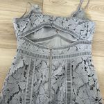 Bardot Botanical Lace Overlay Spaghetti Straps Lined Midi Dress Size US 4 XS Photo 4