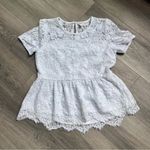Est. 1946 C  Women’s Lace Short Sleeve Peplum Top Medium Photo 0