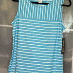 Hasting & Smith Blue Striped Tank Top by Hanna Andersson Photo 0