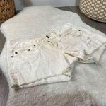 American Eagle Cream Patterned Denim Shorts Photo 0