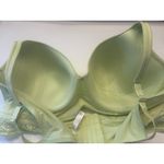 Cacique  Cotton Lightly Lined T-shirt Bra Underwire Longline Lace Size 42DD Photo 4