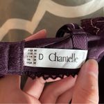 Chantelle  Purple Pinstripe Plunge Contour Bra Size 34D Photo 8