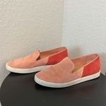 Birdies  The Swift Two Tone Pink Suede Slip On Sneakers, Size 8 Photo 3