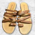 American Eagle Suri Women's Brown Sandals Size 10 Photo 1