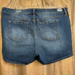 Torrid Blue Jean Stretchy Shorts 5" Inseam Size 16 Photo 1