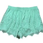 Torrid 5 Inch Pull On Stretch Mesh Mid-Rise Short 0 Large Women’s Mint Green EUC Photo 1