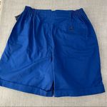 Karen Scott Blue Shorts Photo 4