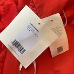 NWT Lan Ting Bride mother of the bride ruby dress Red Size 12 Photo 4