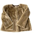 Loft Faux Fur Zip Front Jacket Photo 8