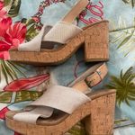 Toms Tom’s Heels Photo 3