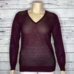 The Limited  NWT Size XL Purple Merino Wool Blend Lightweight V-Neck Sweater Top Photo 0