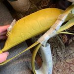 Coach Authentic 1941 signature calf leather 2 zips beltbag UNISEX Photo 6