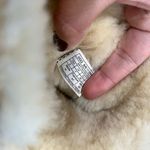 UGG  women’s size 9 chestnut side zippers Photo 6