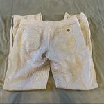 The North Face  Blue White Stripe Wander Free Pants EUC Size 6 Photo 1