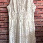 White Sleeveless Sheath Midi Dress Size XXL Photo 0