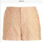 M. Patmos Lace Dress Hot Pants Shorts White Size 8 Photo 4