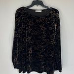 Vintage Floral Whimsigoth Velvet Blouse Size 2X Black Photo 0