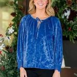 The Pioneer Woman gorgeous blue velvet top blouse Photo 0