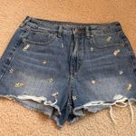 Hollister Jean Shorts Photo 0