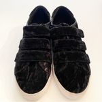 Rebecca Minkoff  Women's SIze 9 Black Crinkled Velvet Becky Velcro Strap Sneakers Photo 1