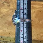 Natural Red Garnet Sterling Silver Claddagh Ring Size 7 Photo 7