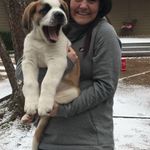 Nike  Knitwear Hoodie Photo 1