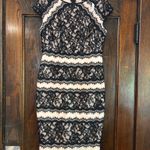 Tadashi Shoji  Lace Dress Photo 3