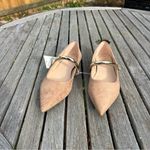 A New Day Nwt Women’s Cassidee Metal Mary Jane Flats – Taupe size 8 Photo 1
