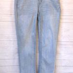 Wall Flower Luscious curvy fit Size 7 Photo 1