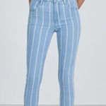 J Brand Maria High Rise Skinny Jeans in Yarn Dye Blue Herringbone Stripe Size 30 Photo 0