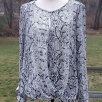 Rose + Olive  Sheer Snake Print High/Low Waistline Blouse Photo 0