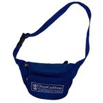 Royal Caribbean Cruise Line Fanny Pack Belt Bum Bag Vintage Nylon Bright Blue Photo 0