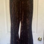 Southern Stitch Elegant Brown Velvet Women's Pants Photo 0