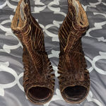 FREEBIRD by Steven  Photo 0